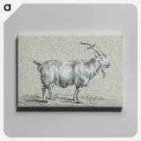 アートパネル-Standing goat - ジャン ベルナール Canvas.