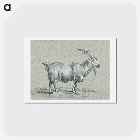 アートポストカード-Standing goat - ジャン ベルナール Postcard.