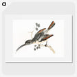 2-45_Johan-Teyler_picture