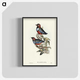 2-45_John-Gould_blk-crop