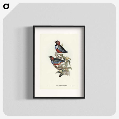 2-45_John-Gould_blk