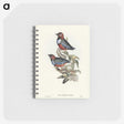 2-45_John-Gould_memo