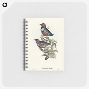 2-45_John-Gould_memo