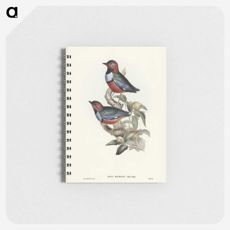 2-45_John-Gould_memo