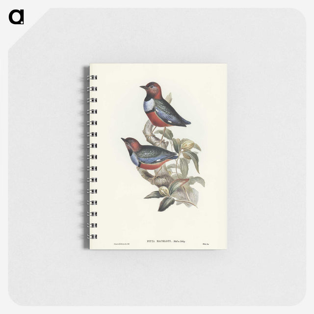 2-45_John-Gould_memo