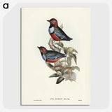 2-45_John-Gould_picture-crop