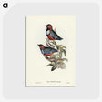 2-45_John-Gould_postcard