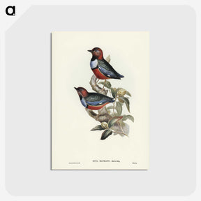 2-45_John-Gould_postcard