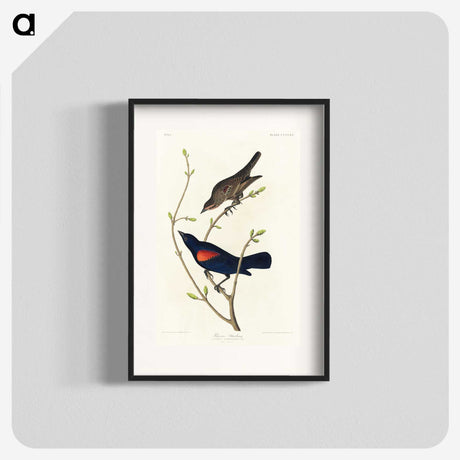 2-45_John-James-Audubon_blk