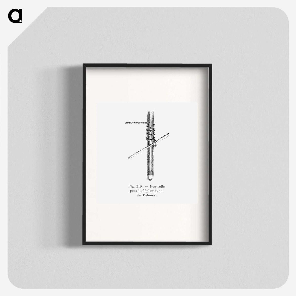 2-45_Les-Palmiers-Histoire-Iconographique_blk