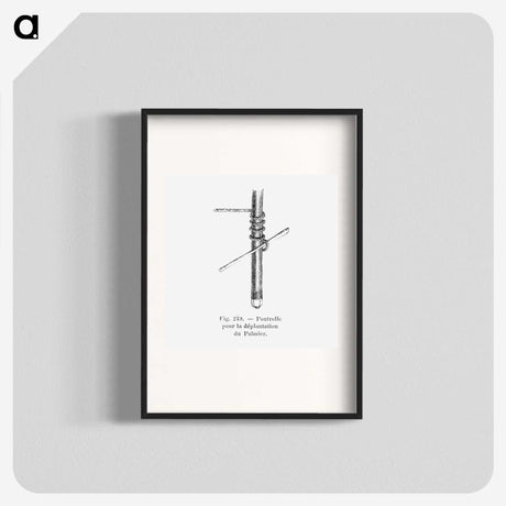 2-45_Les-Palmiers-Histoire-Iconographique_blk