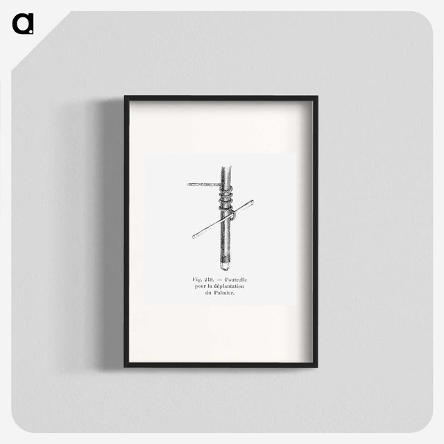 2-45_Les-Palmiers-Histoire-Iconographique_blk