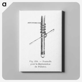 2-45_Les-Palmiers-Histoire-Iconographique_canvas