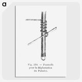 2-45_Les-Palmiers-Histoire-Iconographique_picture-crop