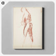 2-45_Magnus-Enckell_canvas