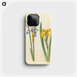 2-45_Maria-Sibylla-Merian_phone