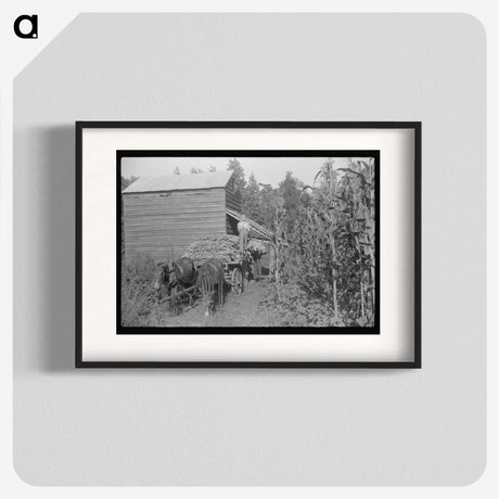 2-45_Marion-Post-Wolcott_blk