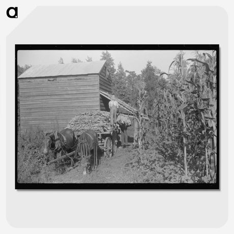 2-45_Marion-Post-Wolcott_picture-crop