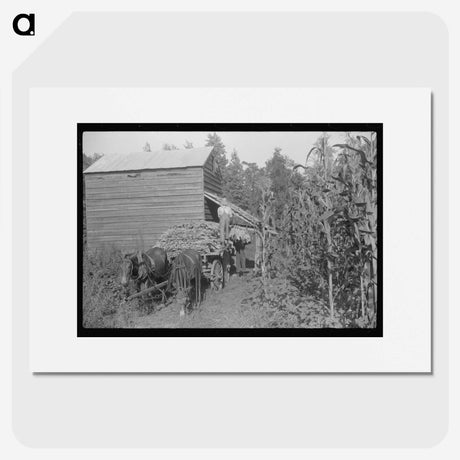 2-45_Marion-Post-Wolcott_picture