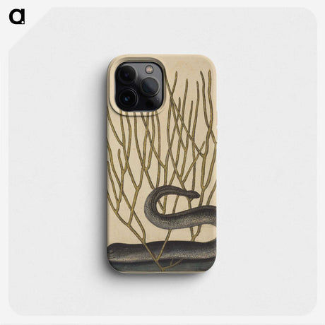 2-45_Mark-Catesby_phone