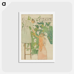 アートポストカード-Gathering Fruit - メアリー カサット Postcard.