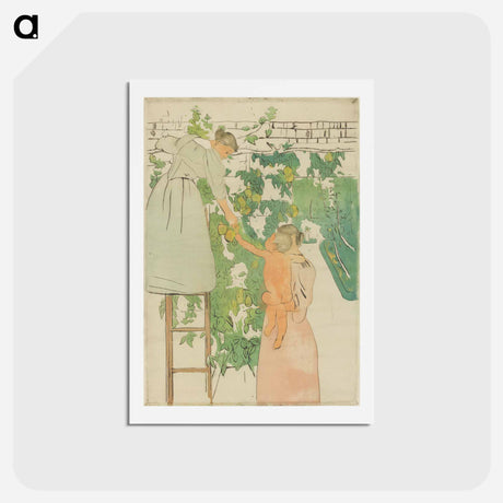 アートポストカード-Gathering Fruit - メアリー カサット Postcard.