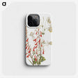 2-45_Mary-Vaux-Walcott_phone