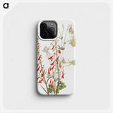 2-45_Mary-Vaux-Walcott_phone