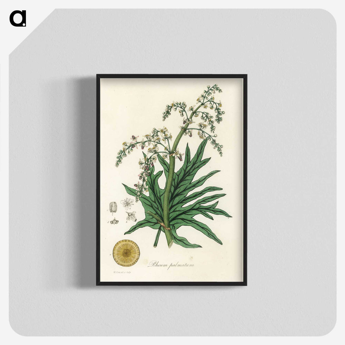 2-45_Medical-Botany_blk-crop