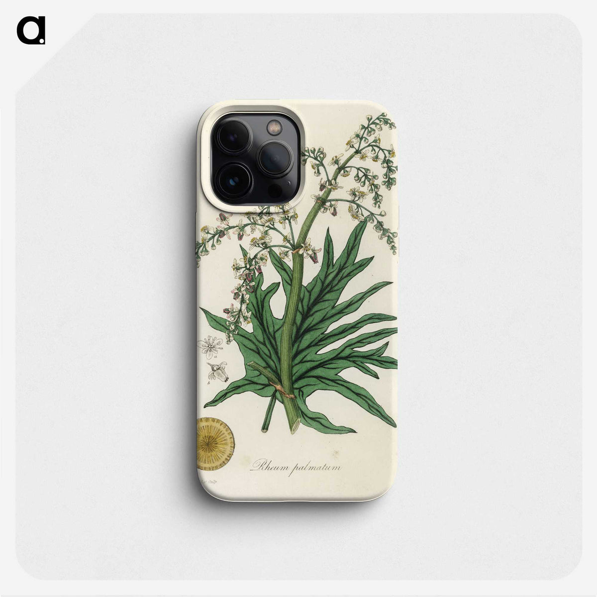 2-45_Medical-Botany_phone