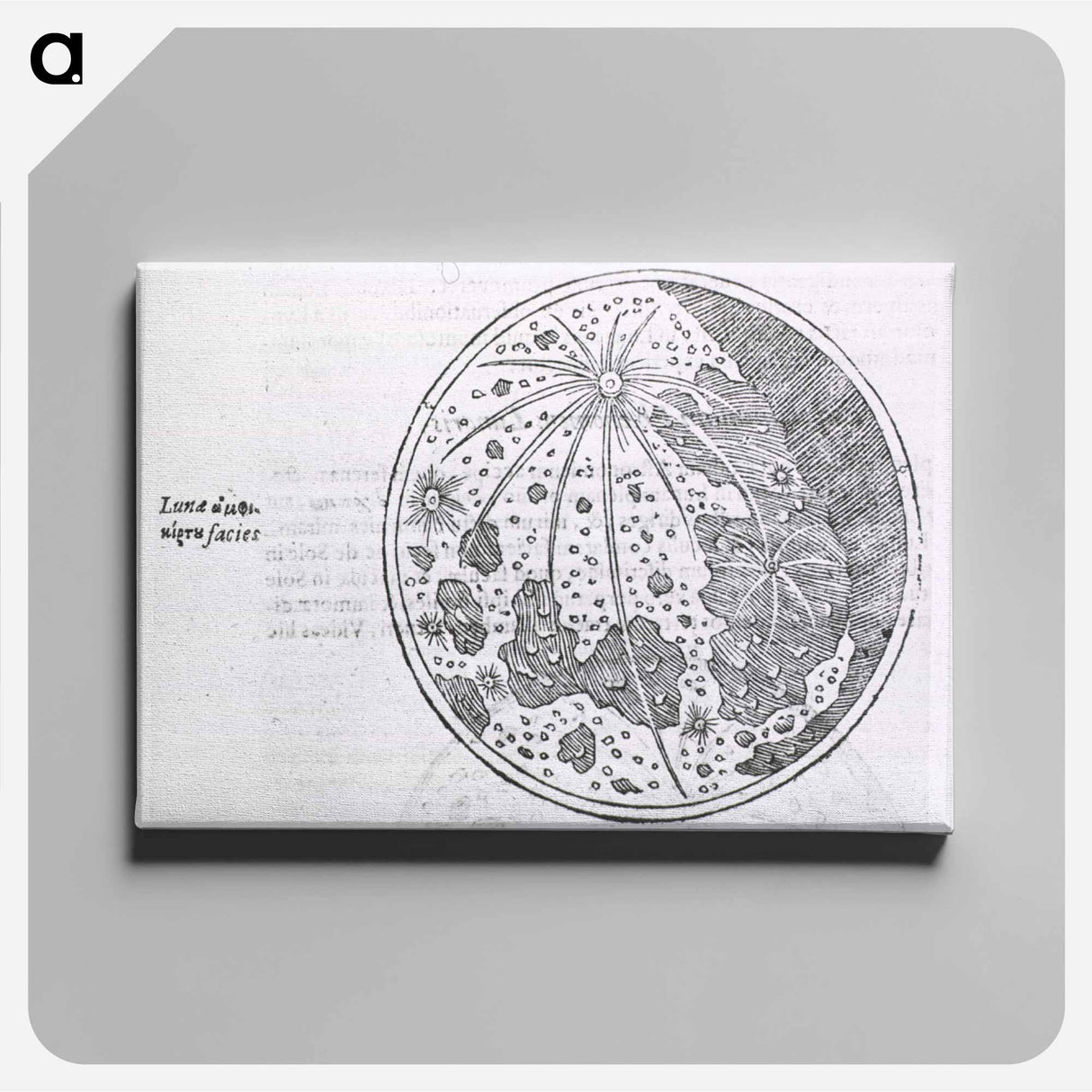 アートパネル-Lunar Surface Phase
 - 国立医学図書館 Canvas.