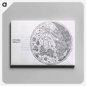 アートパネル-Lunar Surface Phase
 - 国立医学図書館 Canvas.