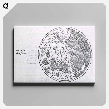 アートパネル-Lunar Surface Phase
 - 国立医学図書館 Canvas.