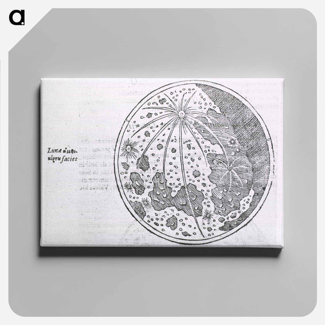 アートパネル-Lunar Surface Phase
 - 国立医学図書館 Canvas.