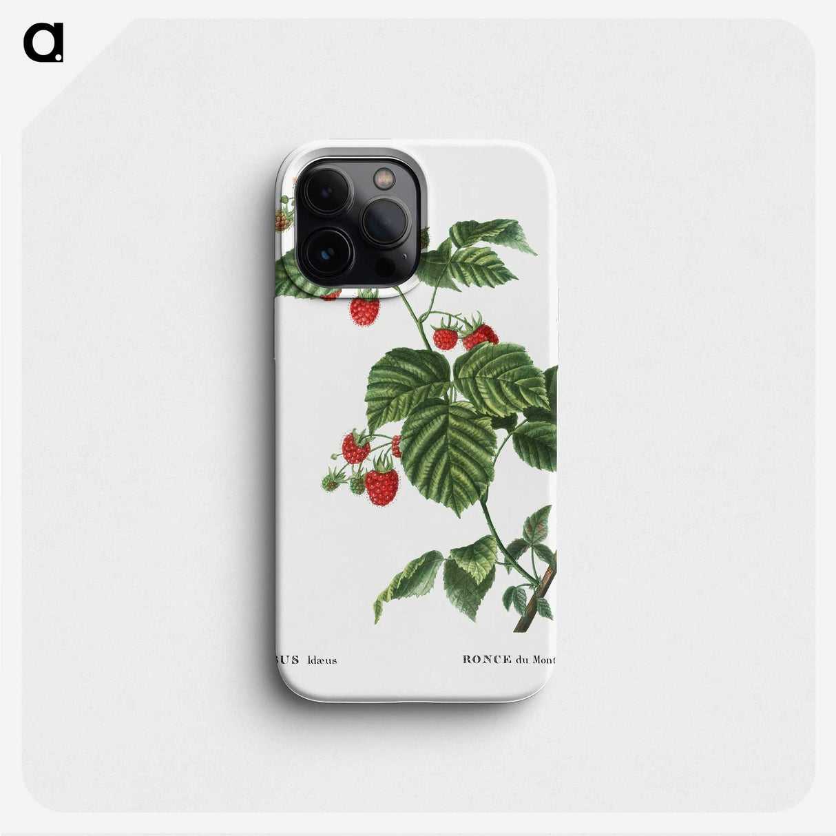 2-45_Pierre-Joseph-Redoute_phone