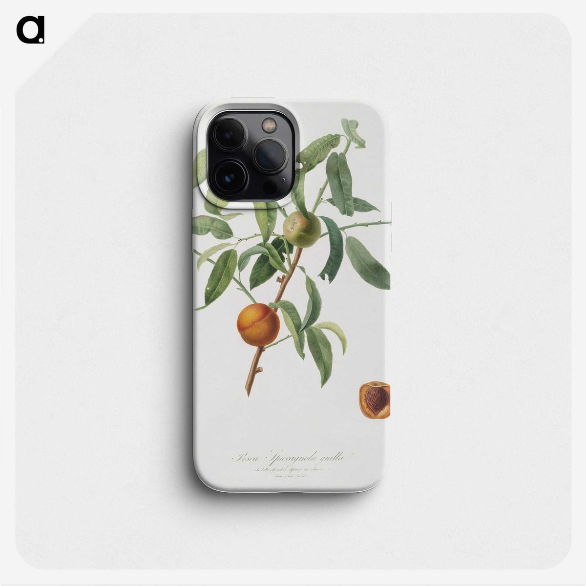 2-45_Pomona-Italiana_phone