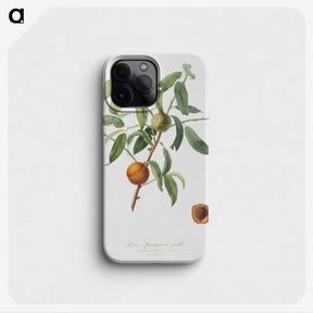 2-45_Pomona-Italiana_phone
