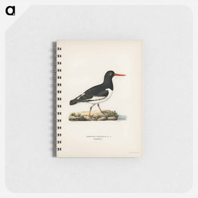 アートメモ帳-Eurasian Oystercatcher
 - スヴェンスカ フォグラル Memo.