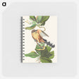 アートメモ帳-Mangrove Cuckoo from Birds of America
 - アメリカの鳥たち Memo.