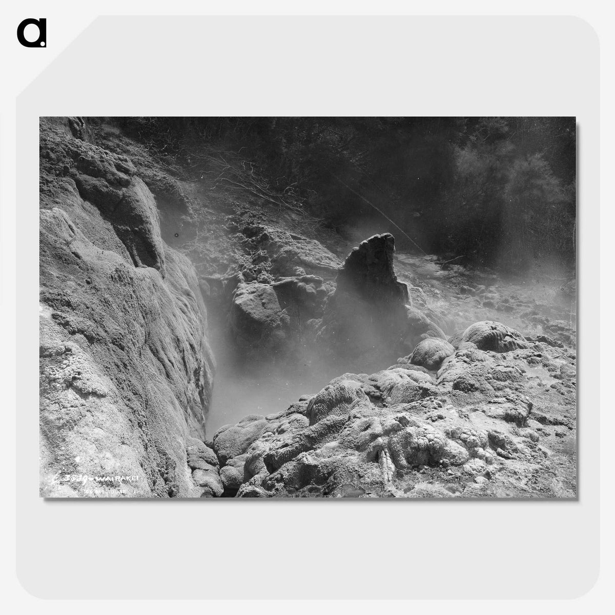 2-45_The-Burton-Brothers_picture-crop