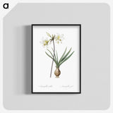 2-45_The-Lilies_blk-crop