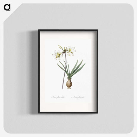 2-45_The-Lilies_blk
