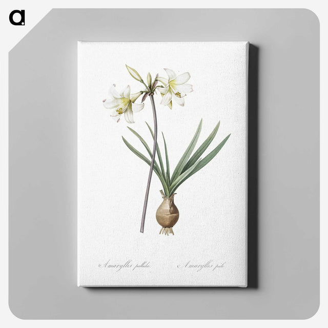 2-45_The-Lilies_canvas