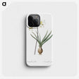 2-45_The-Lilies_phone