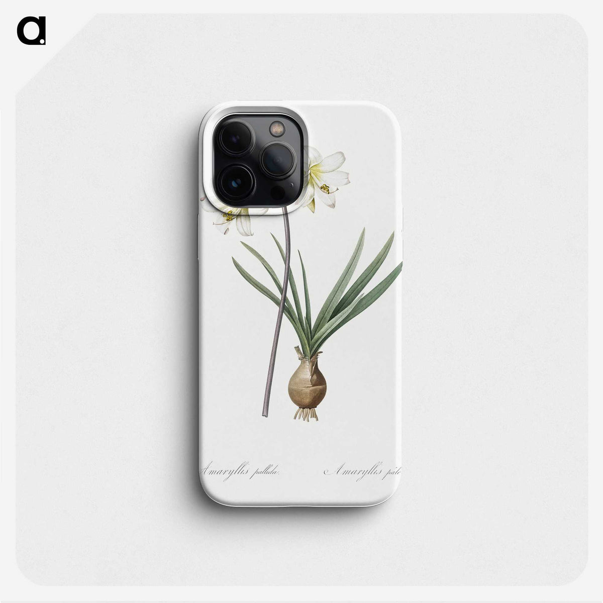 2-45_The-Lilies_phone