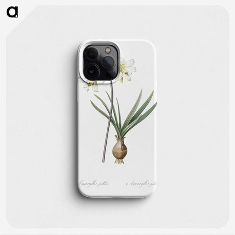 2-45_The-Lilies_phone