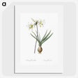 2-45_The-Lilies_picture