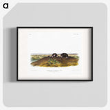 2-45_The-Viviparous-Quadrupeds_blk