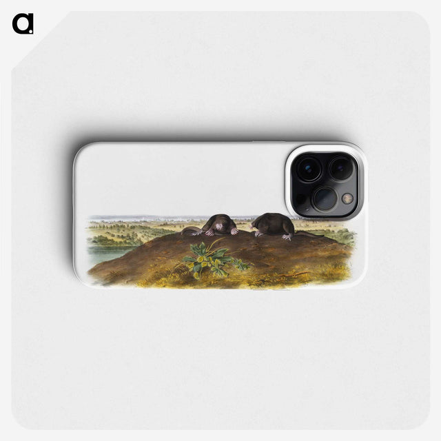 2-45_The-Viviparous-Quadrupeds_phone