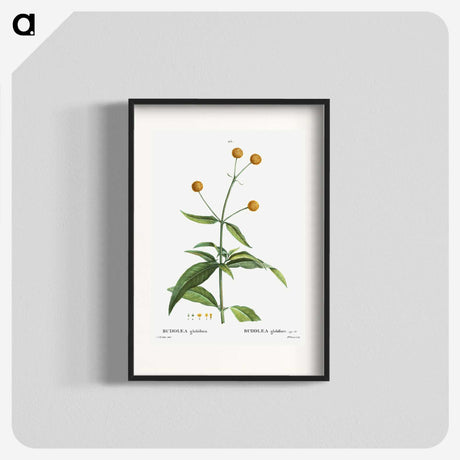 2-45_Treatise-on-Trees-and-Shrubs_blk
